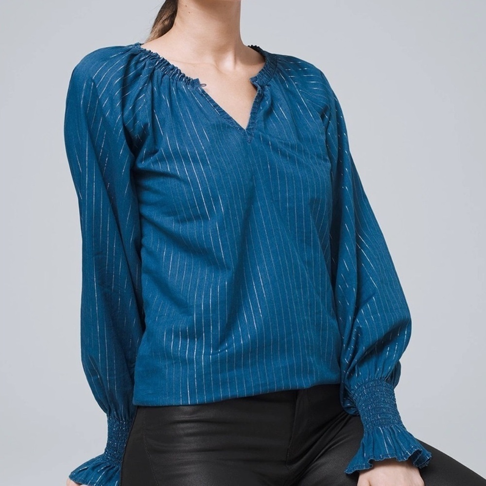 NWT! WHBM Blue and Silver Striped Chambray Long-Sleeve Shirt. Small
